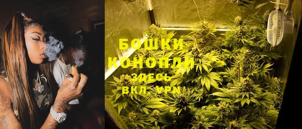 тгк Белокуриха