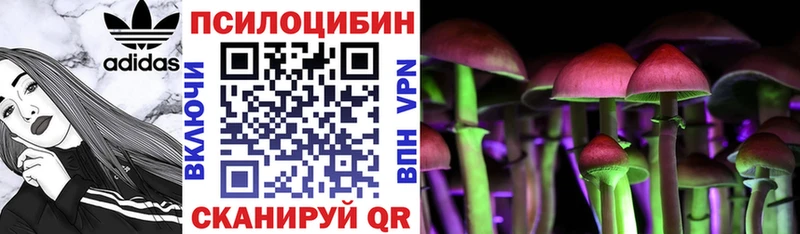 Псилоцибиновые грибы MAGIC MUSHROOMS  Купить где  Венёв 